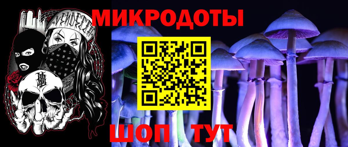 Псилоцибиновые грибы Cubensis  Вход с VPN  Псилоцибиновые грибы GOLDEN TEACHER  Боровичи 